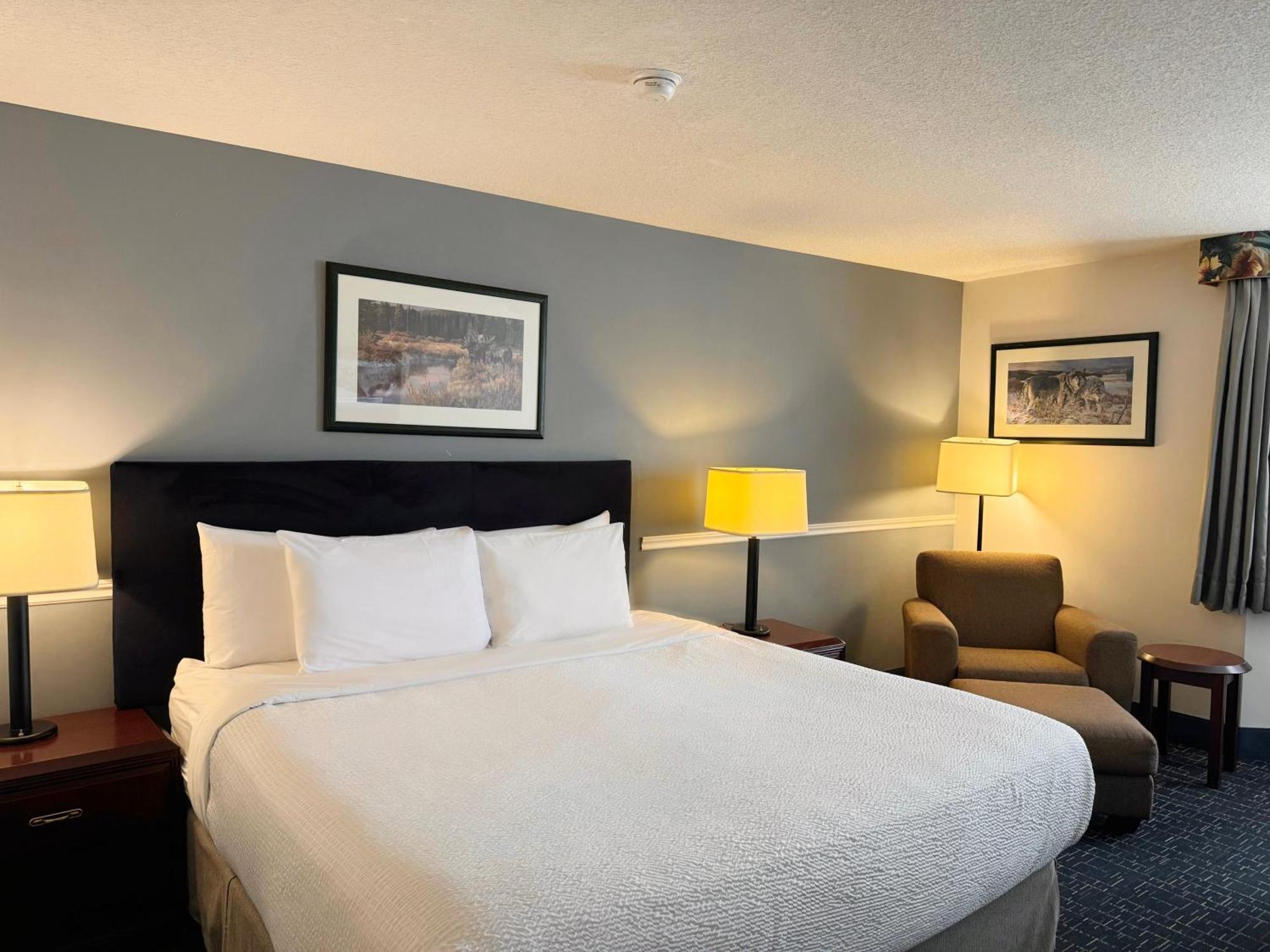 Hotel Divya Sutra Plaza And Conference Centre Calgary Airport Exteriér fotografie